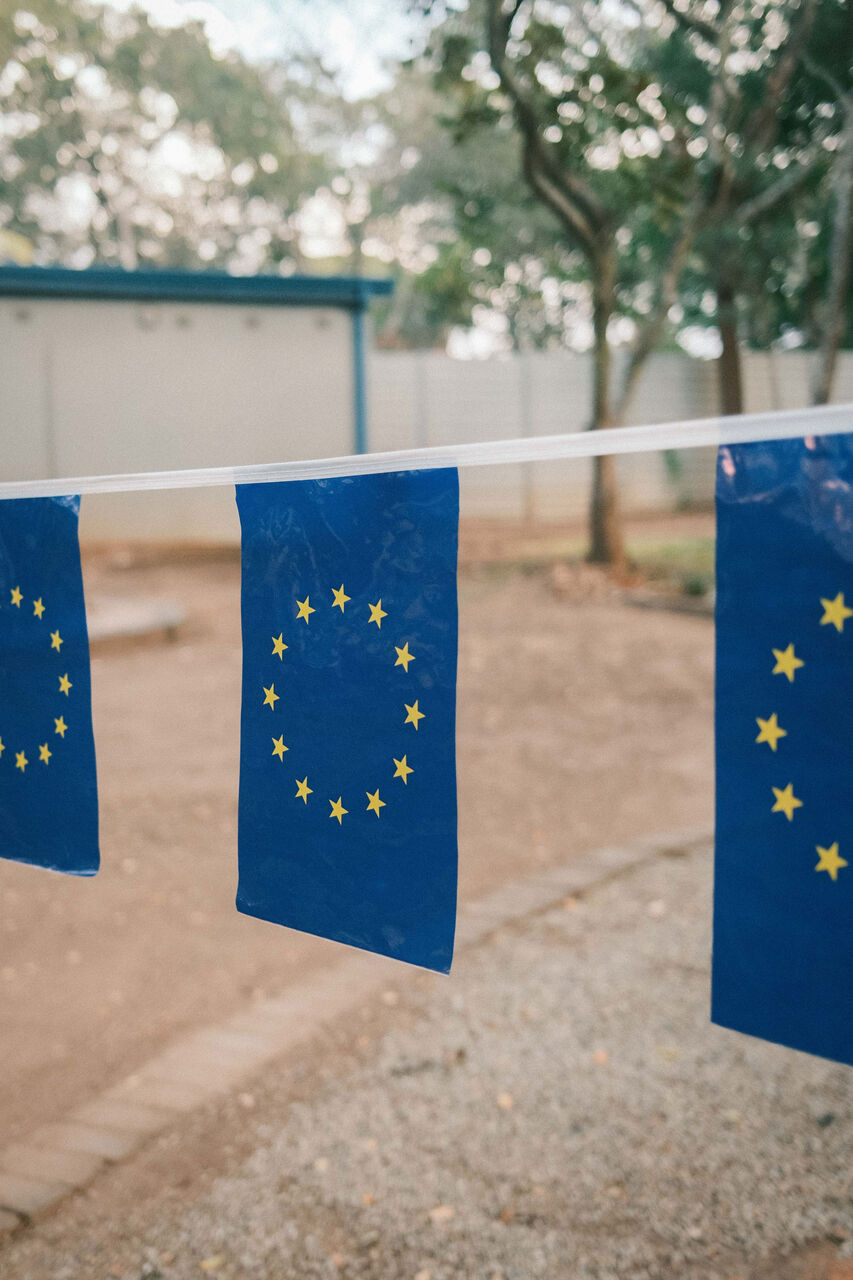 Row of national flags lining the entrance to a diplomatic reception